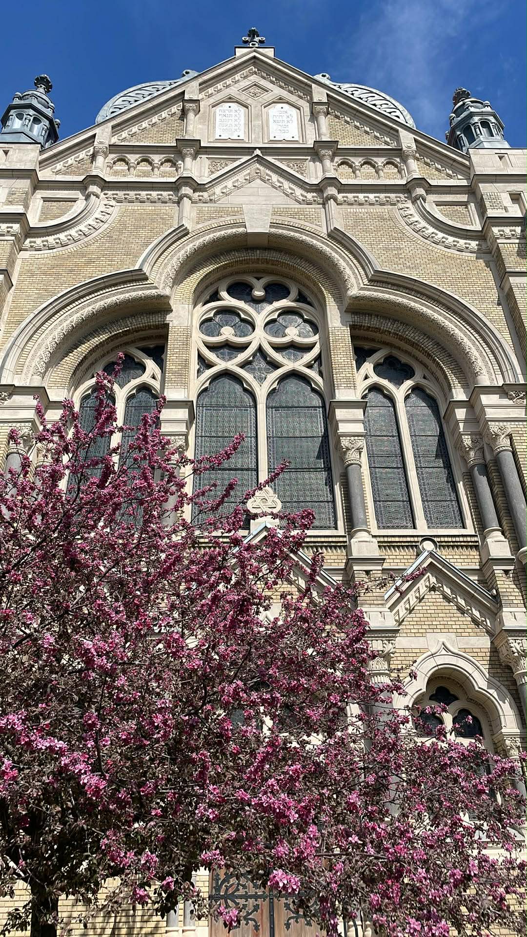 b89506af 0396 42f8 a4c2 55f3a2496fcc